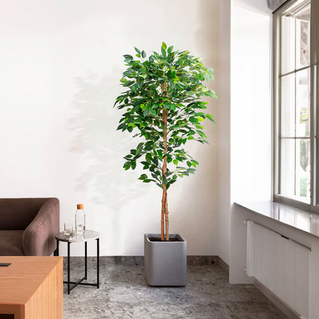 Home Decor - Faux Plants, Flowers & Trees