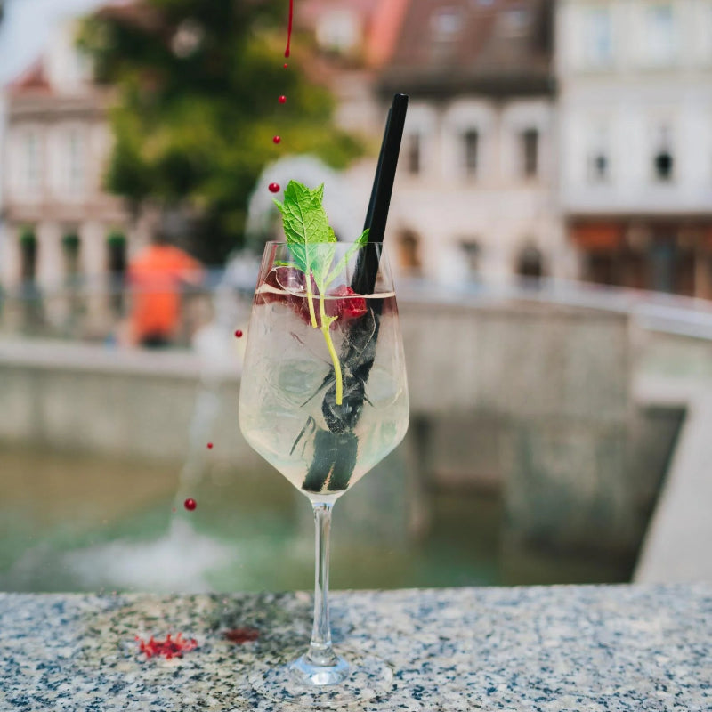 Set Of 6 Glass Straws Black 20cm