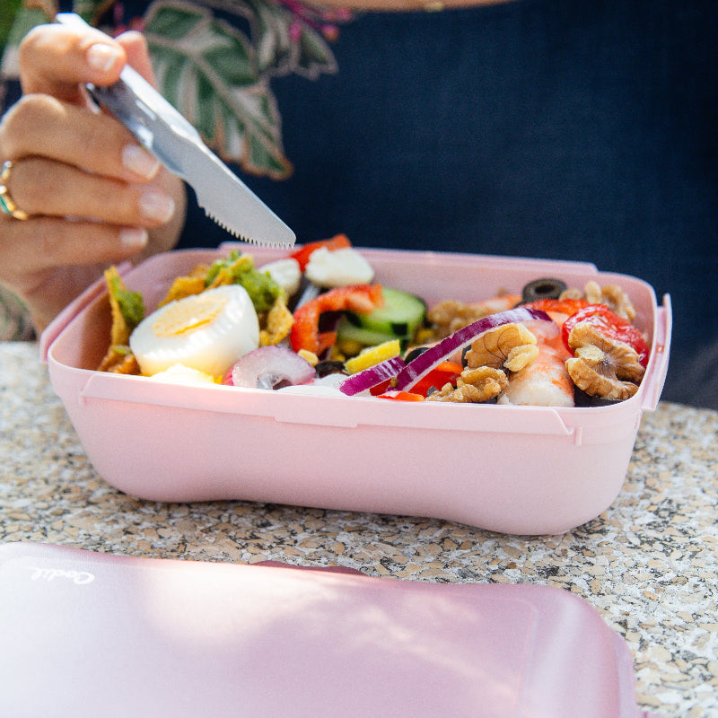 Plastic Lunch Box 0.9L