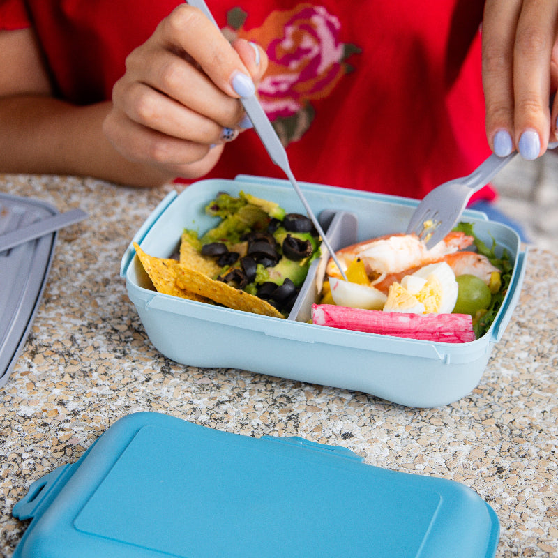 Plastic Lunch Box 0.9L