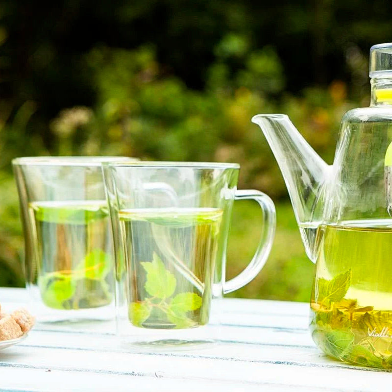 Amo Double-Walled Glass 250 ml