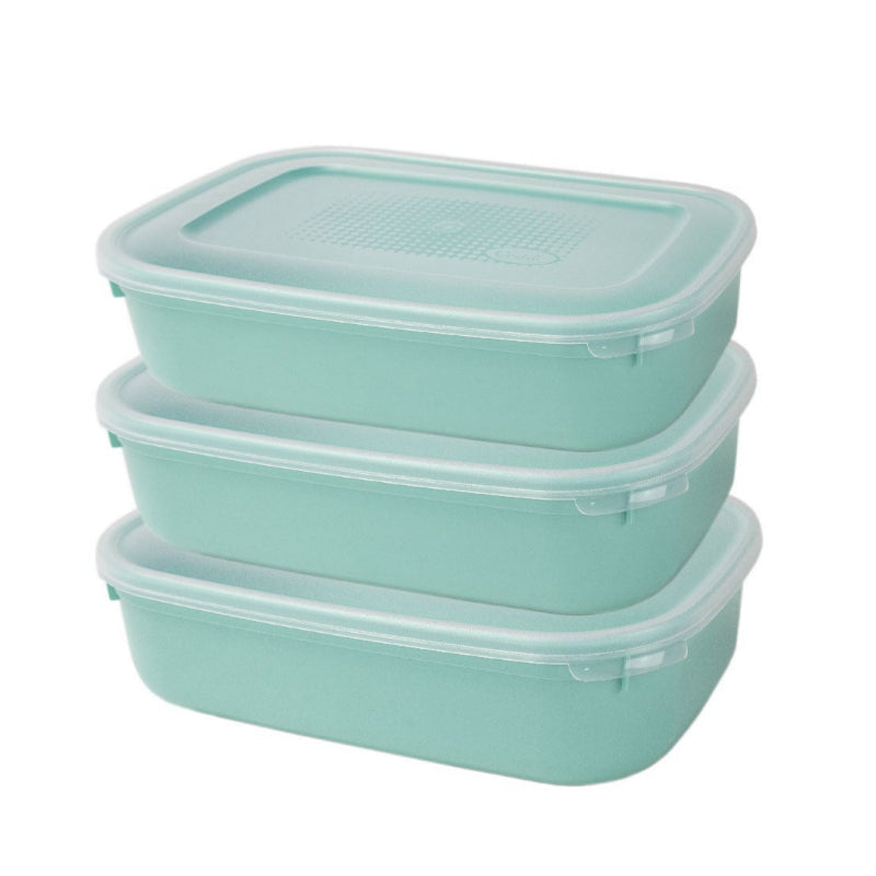 Plastic Storage Container 0.8L (Set of 3)