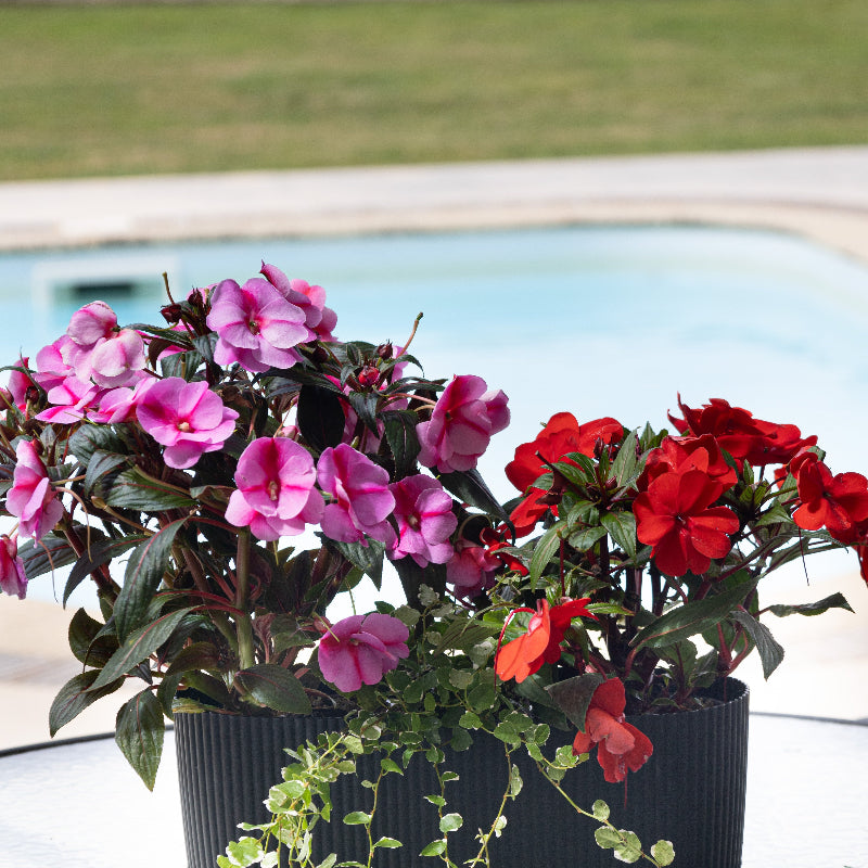 Round striped flower Pot 4.5L