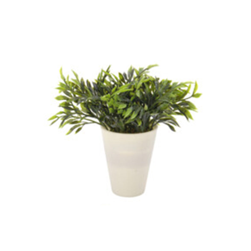 Plant In Plastic Pot