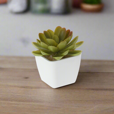 Artificial Succulent Plant in Pot