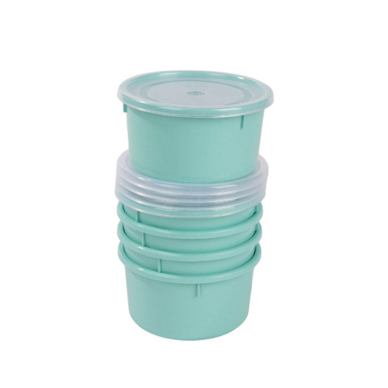 Plastic Storage Container With Lid 0.3L (Set of 5)