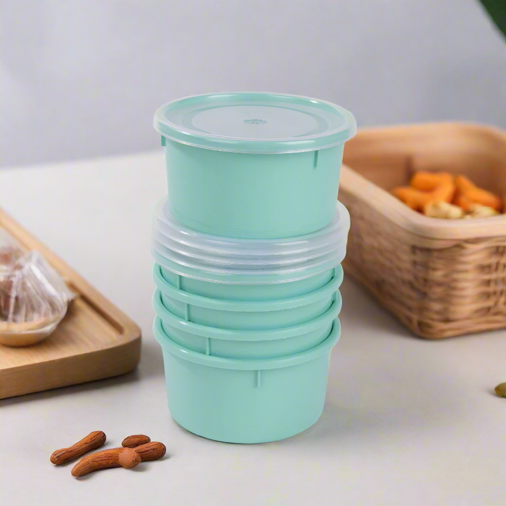 Plastic Storage Container With Lid 0.3L (Set of 5)