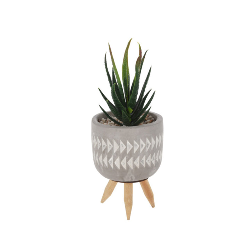 Plant In Pot Cement 8x8x16cm