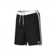 Arena Icons Team Stripe Bermuda