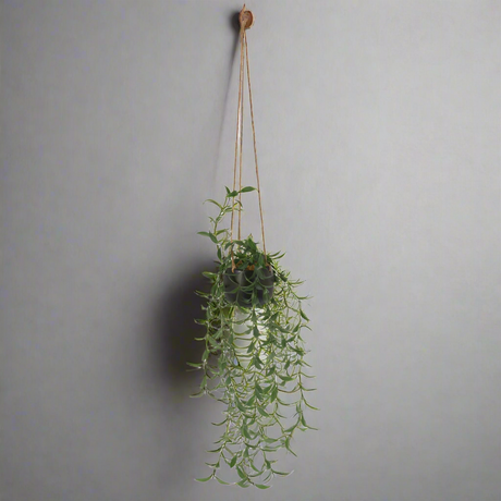 Artificial Hanging Plant In Ceramic Pot