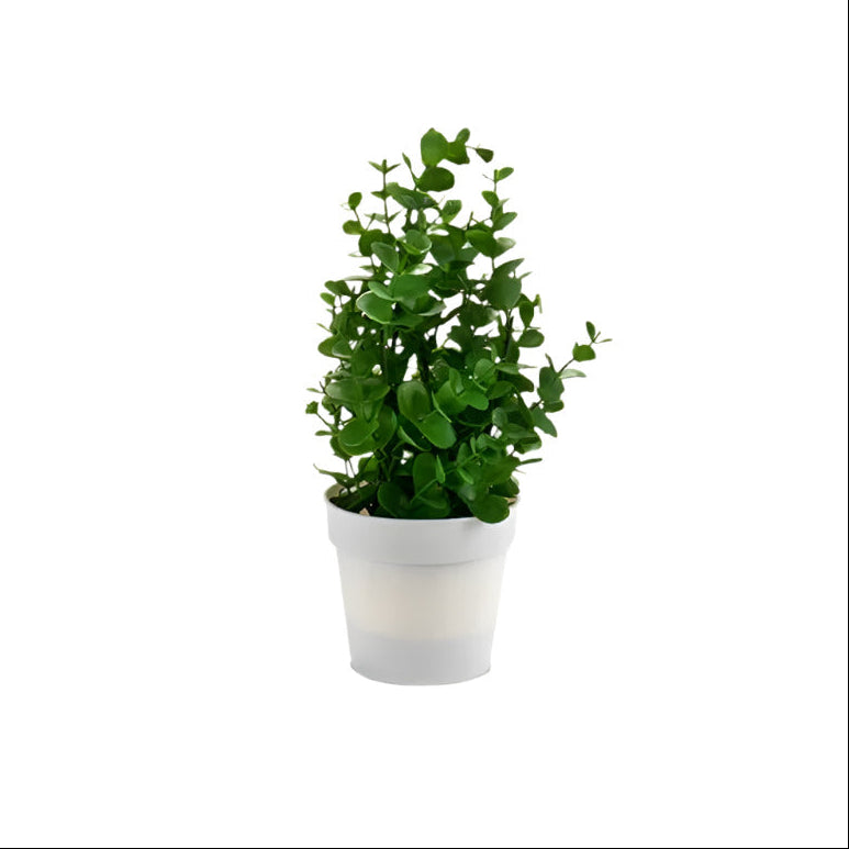 Bush With Plant White Flowerpot