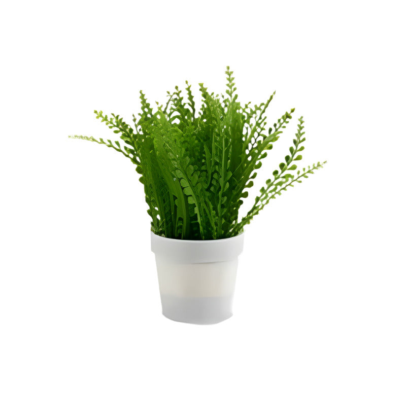 Bush With Plant White Flowerpot