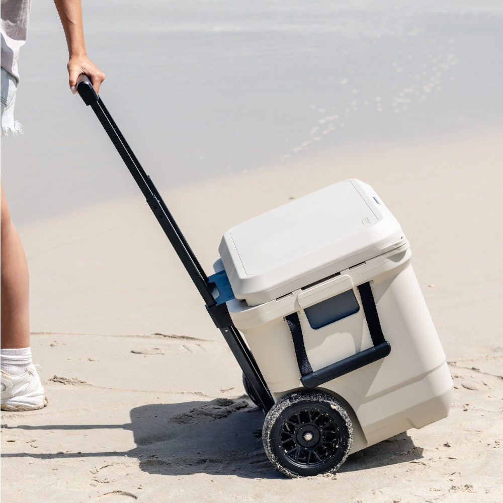 Coleman Pro Series 55QT Wheeled Ice Box Cooler