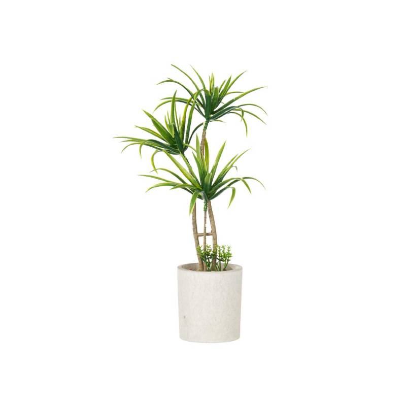 Cement Pot Green Palm Tree Medium