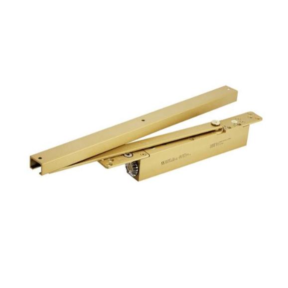 EuroArt Concealed Cam Action Door Closer