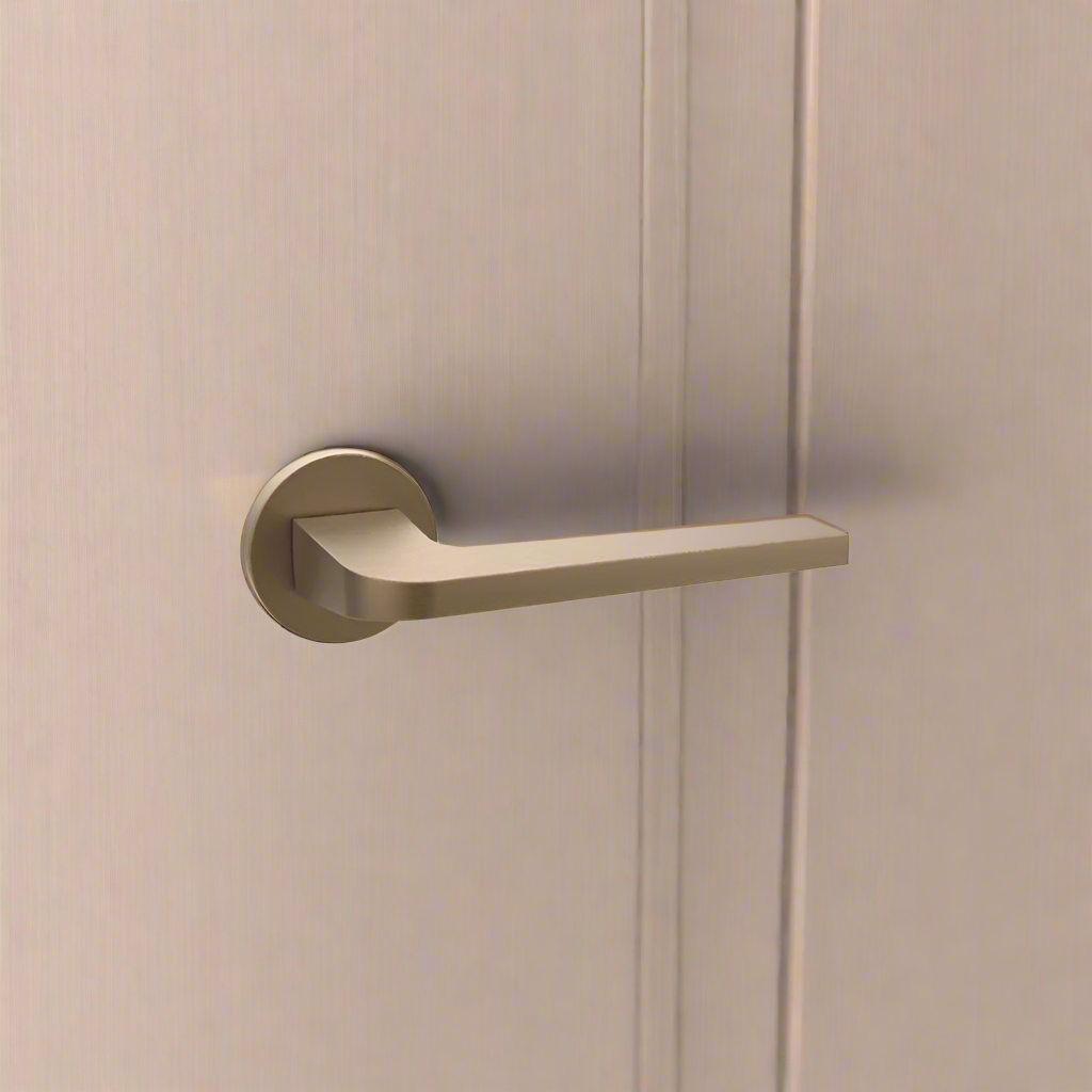 Lever Handle on Rose With Escutheons