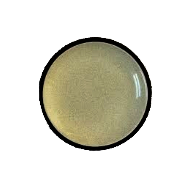 Dinner Dessert Serving Plate 8"