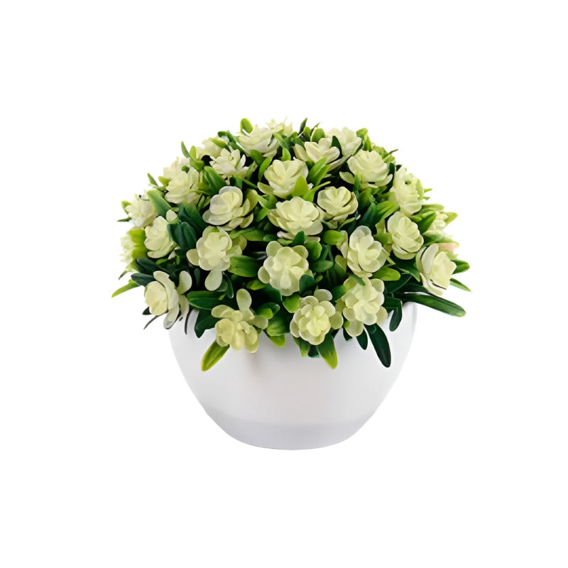 Flower Plant Clover Mix 4 Colors