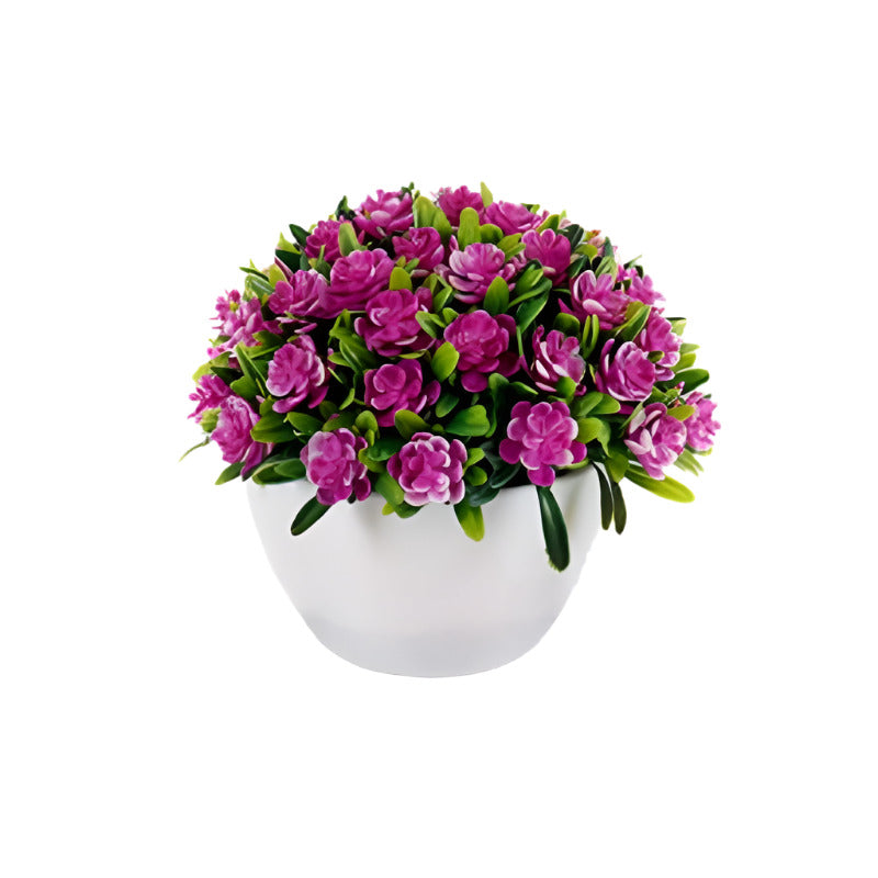 Flower Plant Clover Mix 4 Colors