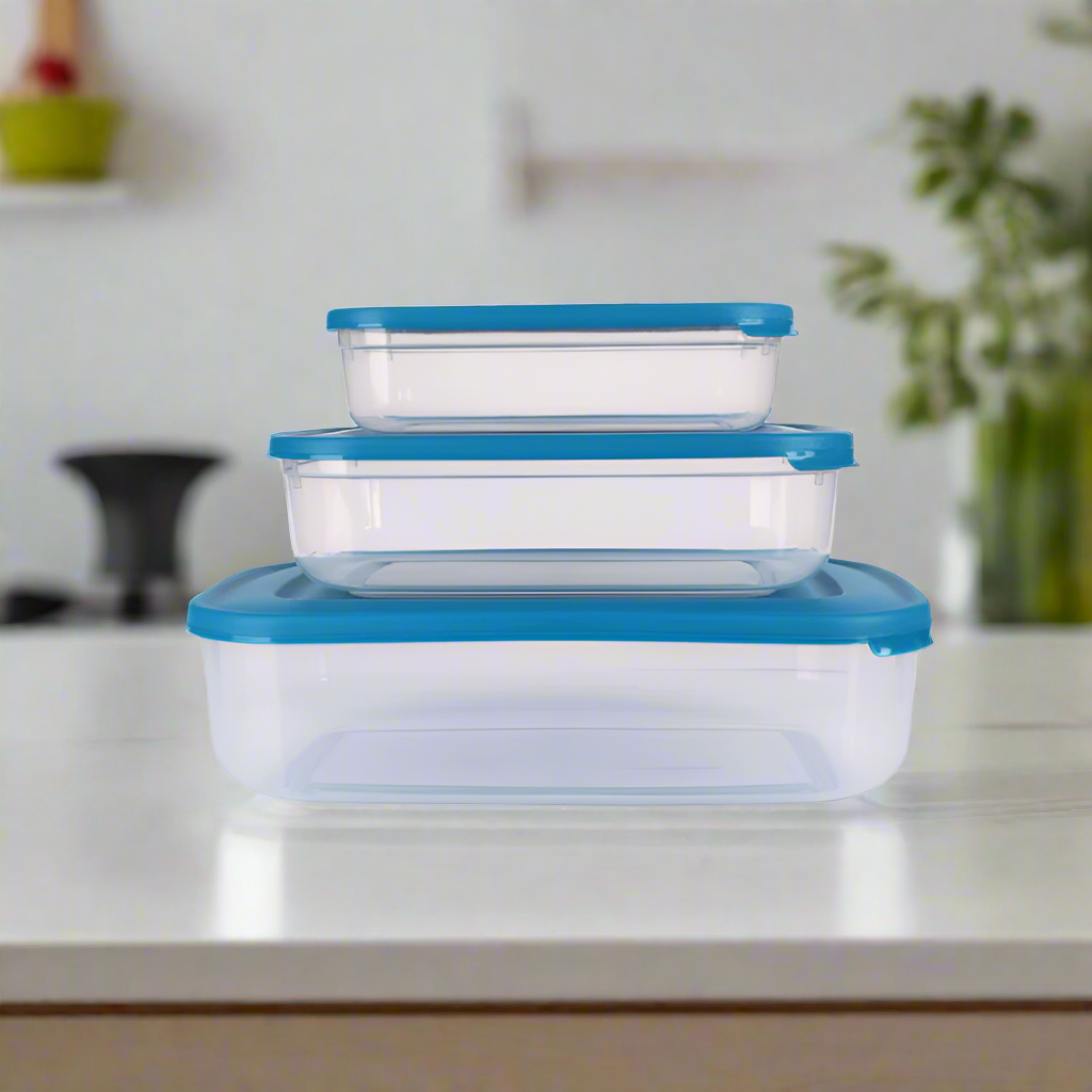 Food Storage Box Plastic (Set of 3)