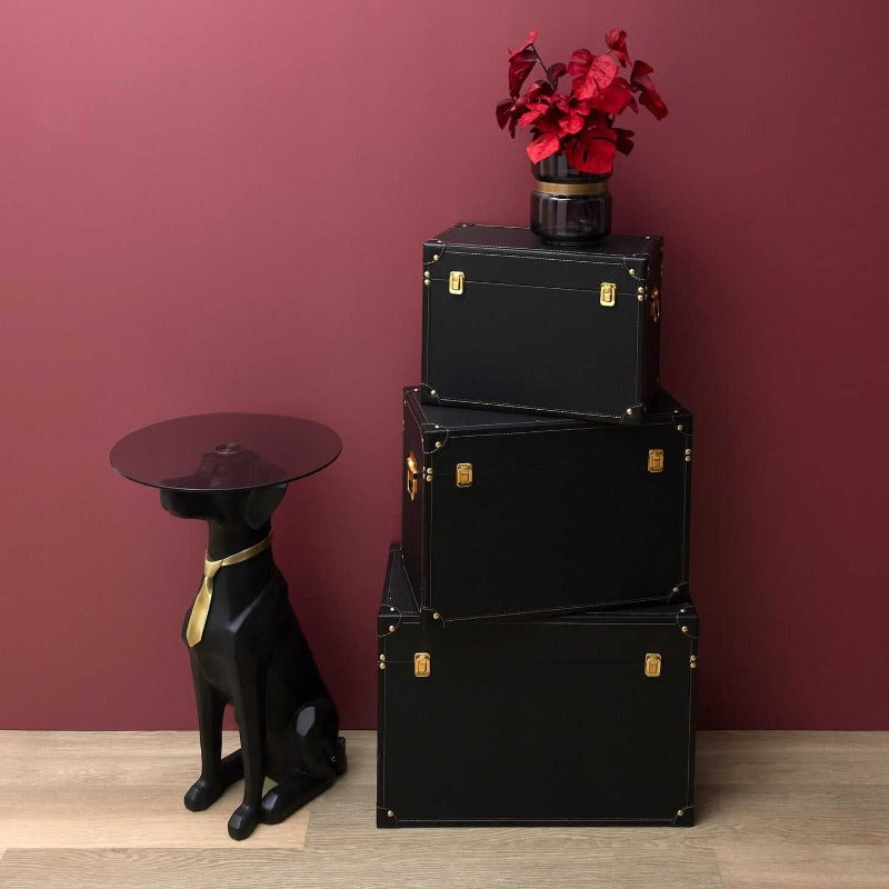 Decorative Trunks Black & Gold
