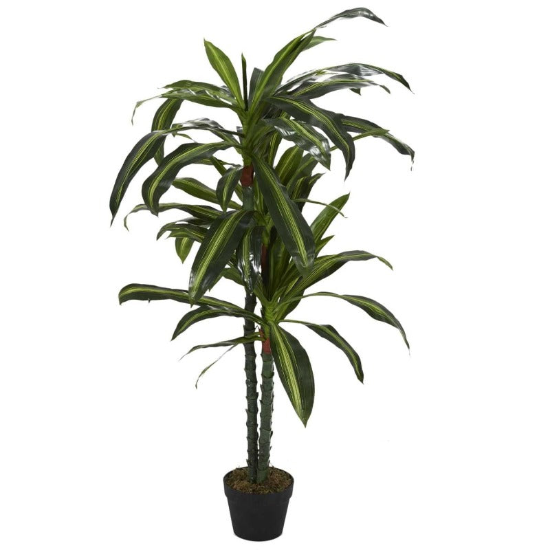 Artificial Dracaena Plant