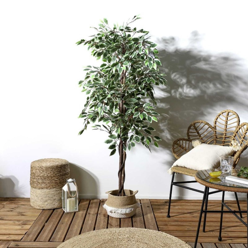 Artificial plant Fan Shaped Foliage