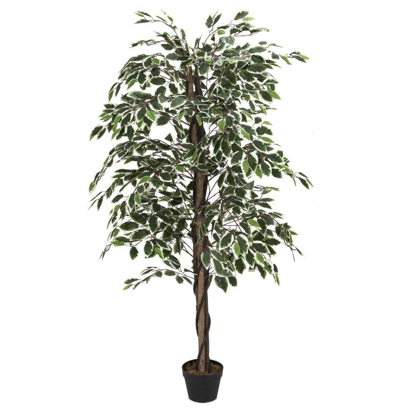 Artificial plant Fan Shaped Foliage