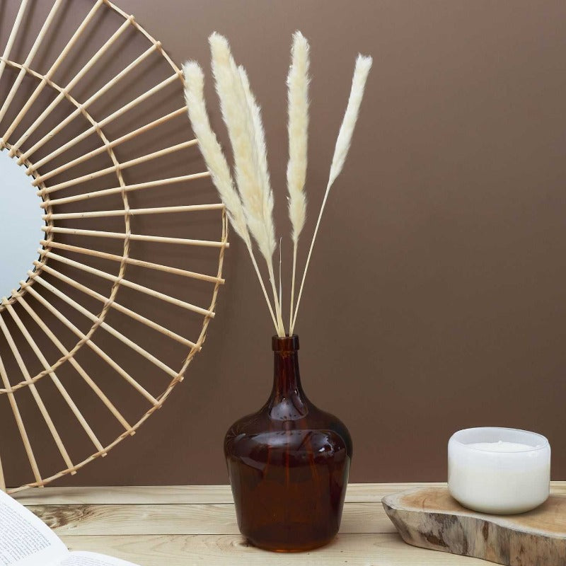 Natural Dried Pampas Grass H60cm