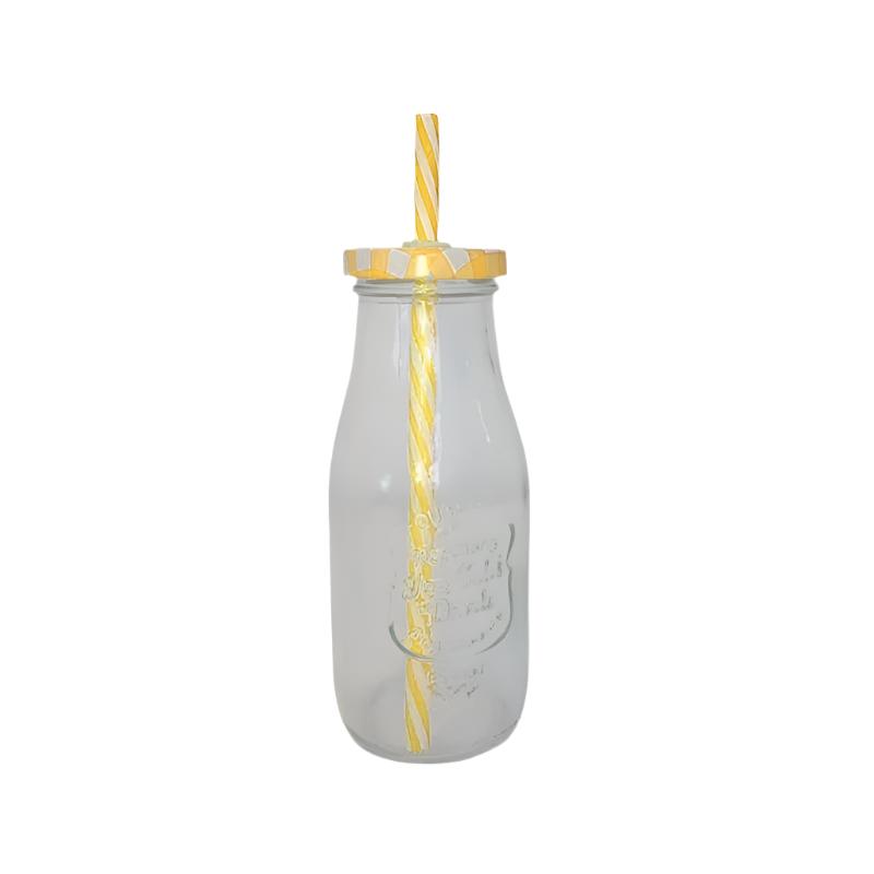 Drinking jars with Lids & Straws 300ml