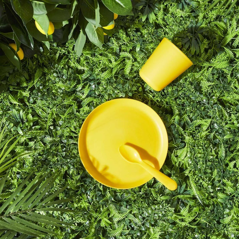 Plastic Serving Plate 20cm