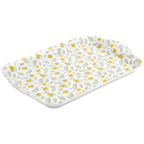 polypropylene Tray 21 x 14cm