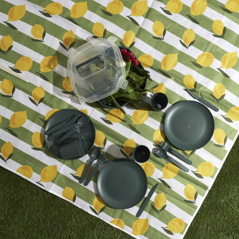 Picnic Sets x24