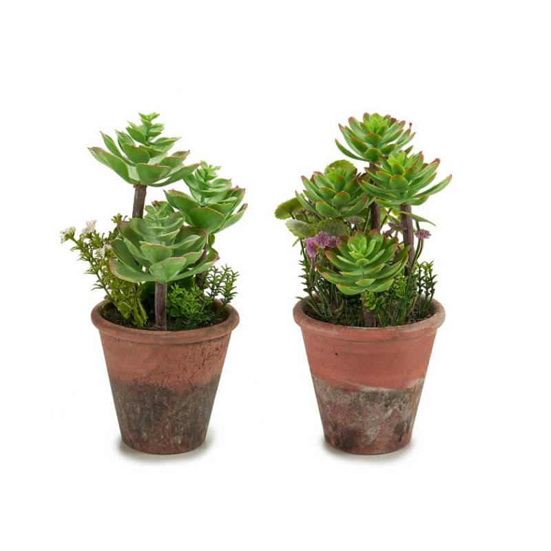 Medium Old Flowerpot Mix 2 Mod