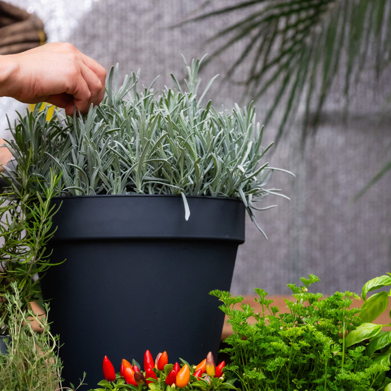 Round Flower Pot 30cm Black