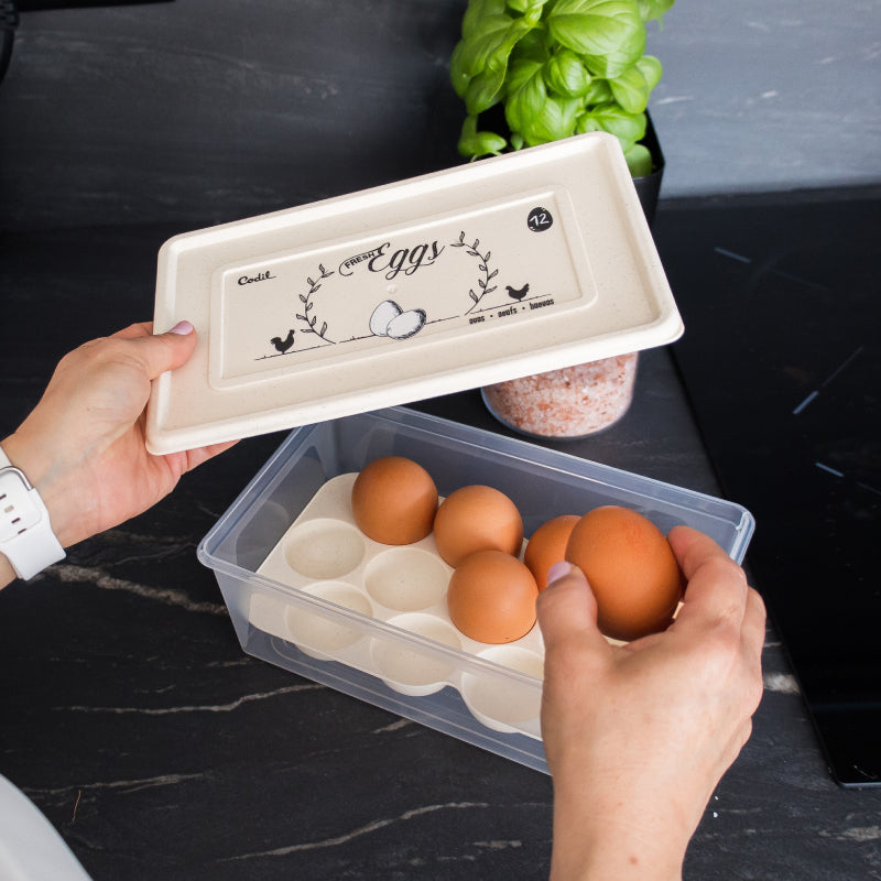 Rectangle Egg Storage Box 2.1L