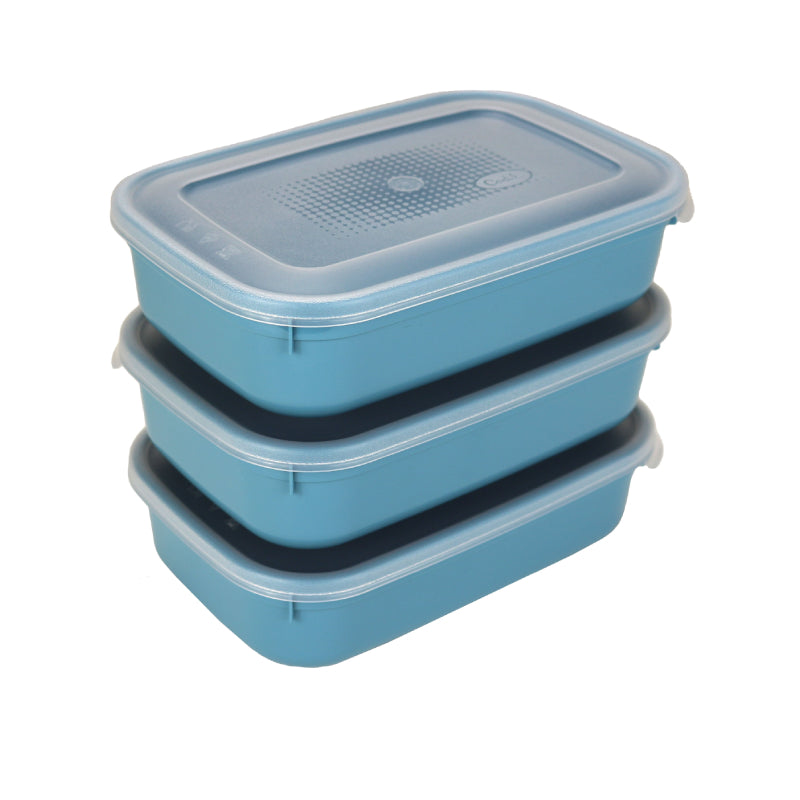 Plastic Storage Container 0.8L (Set of 3)