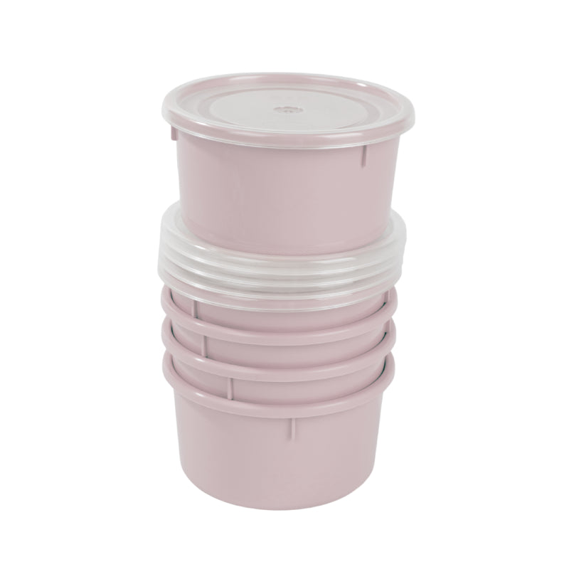 Plastic Storage Container With Lid 0.3L (Set of 5)