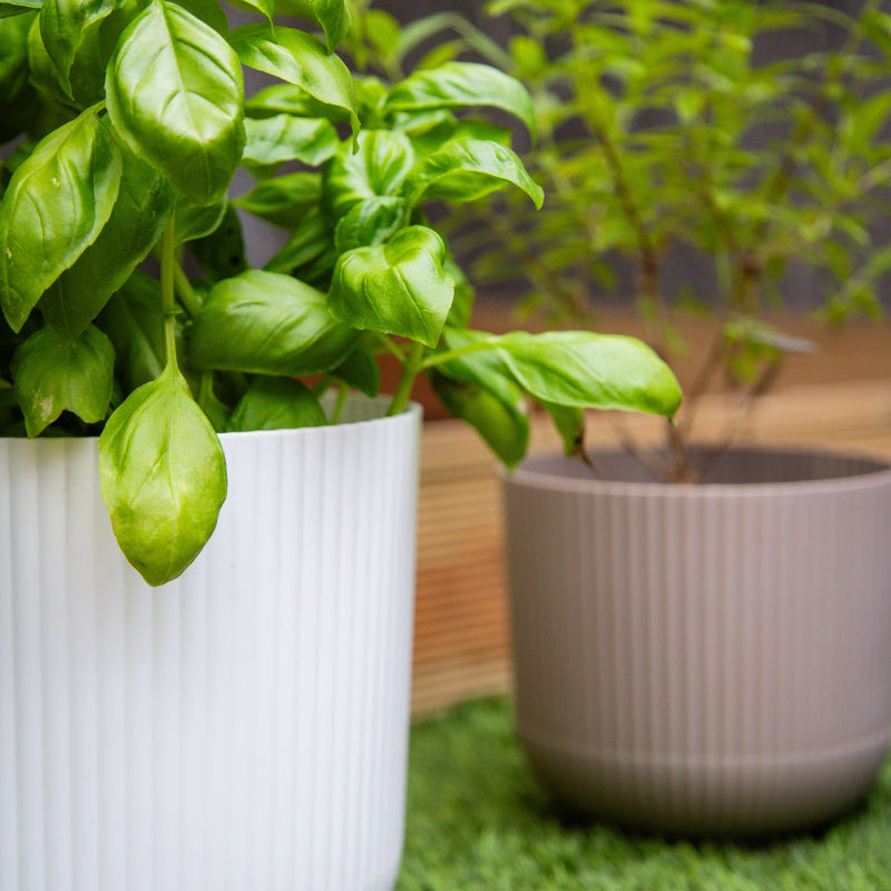 Round striped flower Pot Beige 1.5L