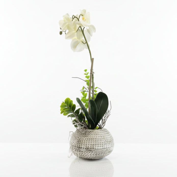 Orchid Low Pot Decorative Table Flower