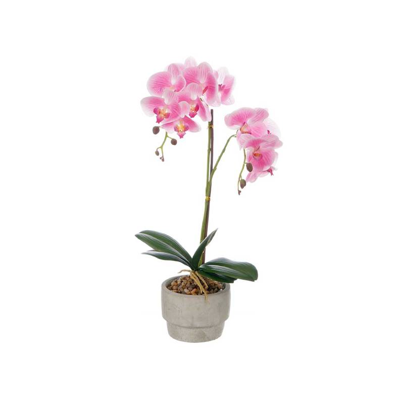 Pink Cement Terracotta Pot 2 Sticks