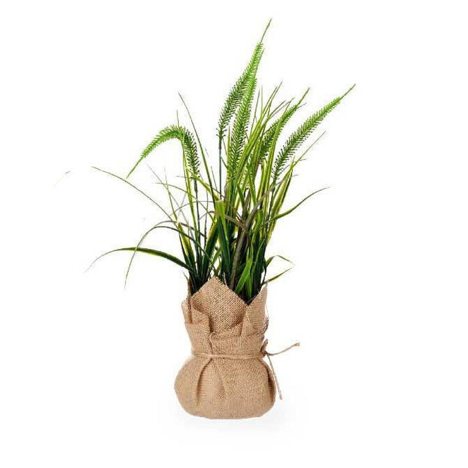 Plant Bag Large Assort 3 Colors