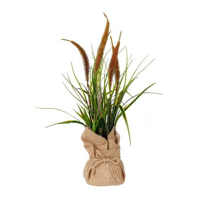 Plant Bag Large Assort 3 Colors