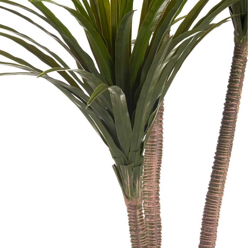 Plant With Large Narrow Blade Pot 200cm