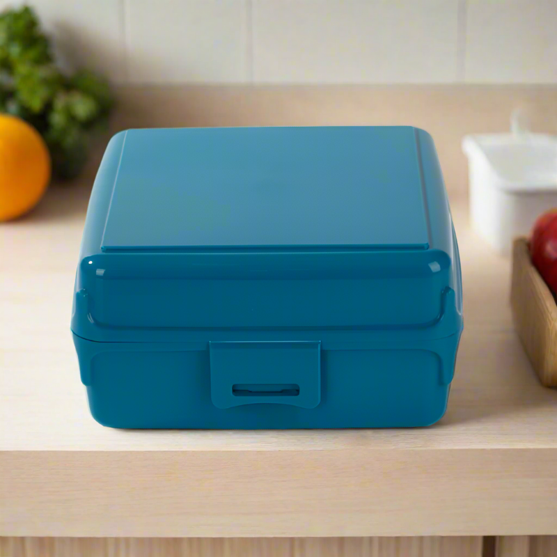 Plastic Multi Purpose Storage Box