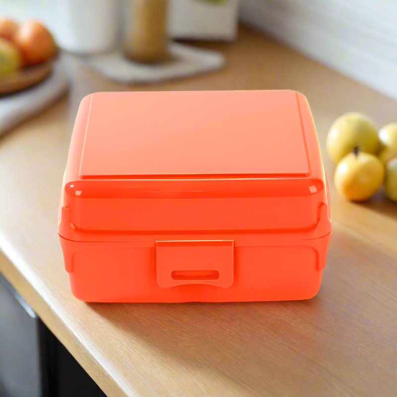 Plastic Multi Purpose Storage Box