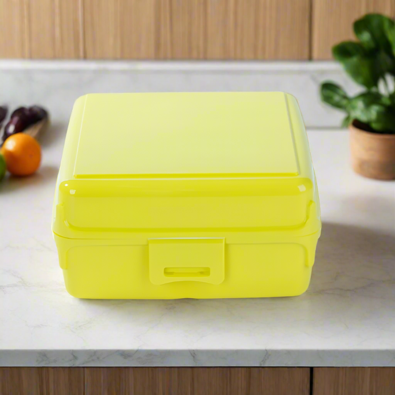 Plastic Multi Purpose Storage Box