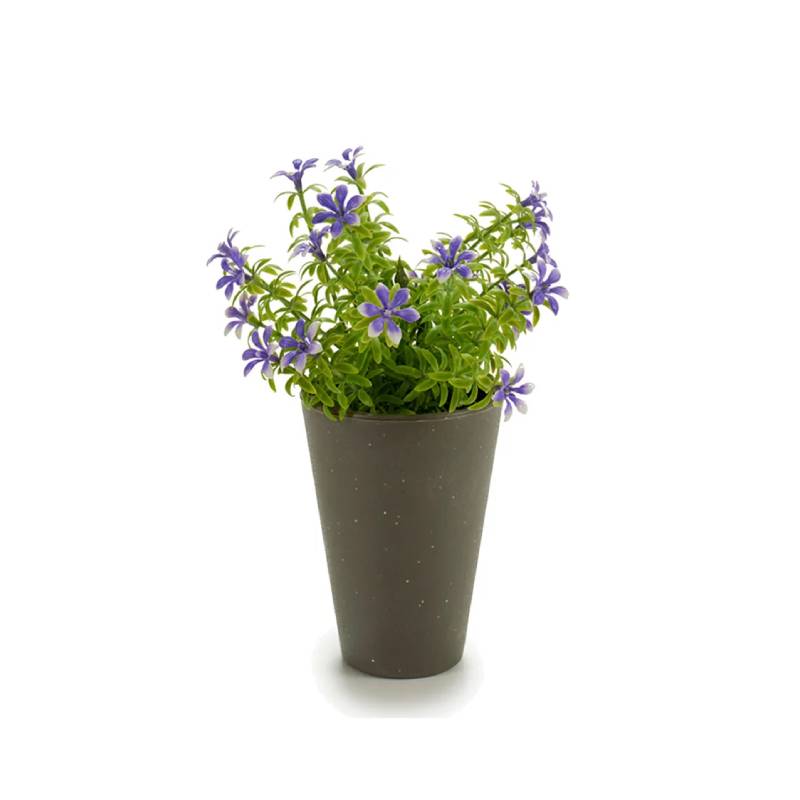 Potted 6 Petals Flowers