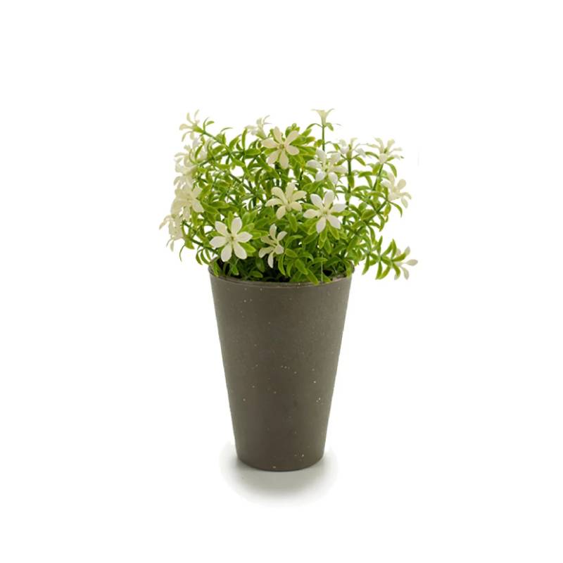 Potted 6 Petals Flowers