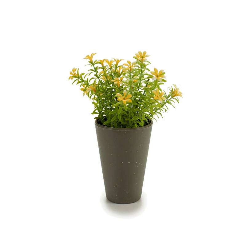 Potted 6 Petals Flowers